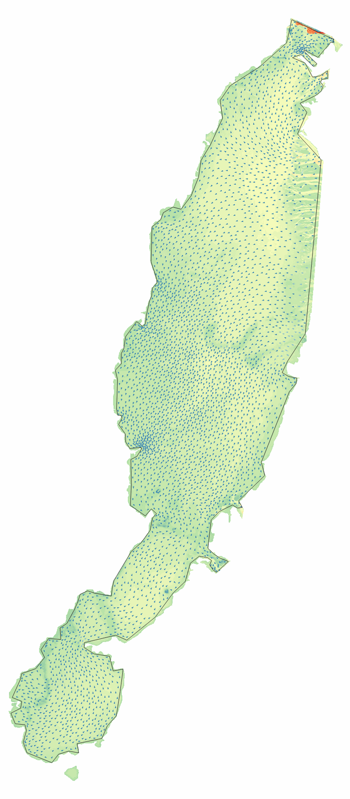 Detail of the velocity field during the animation.
