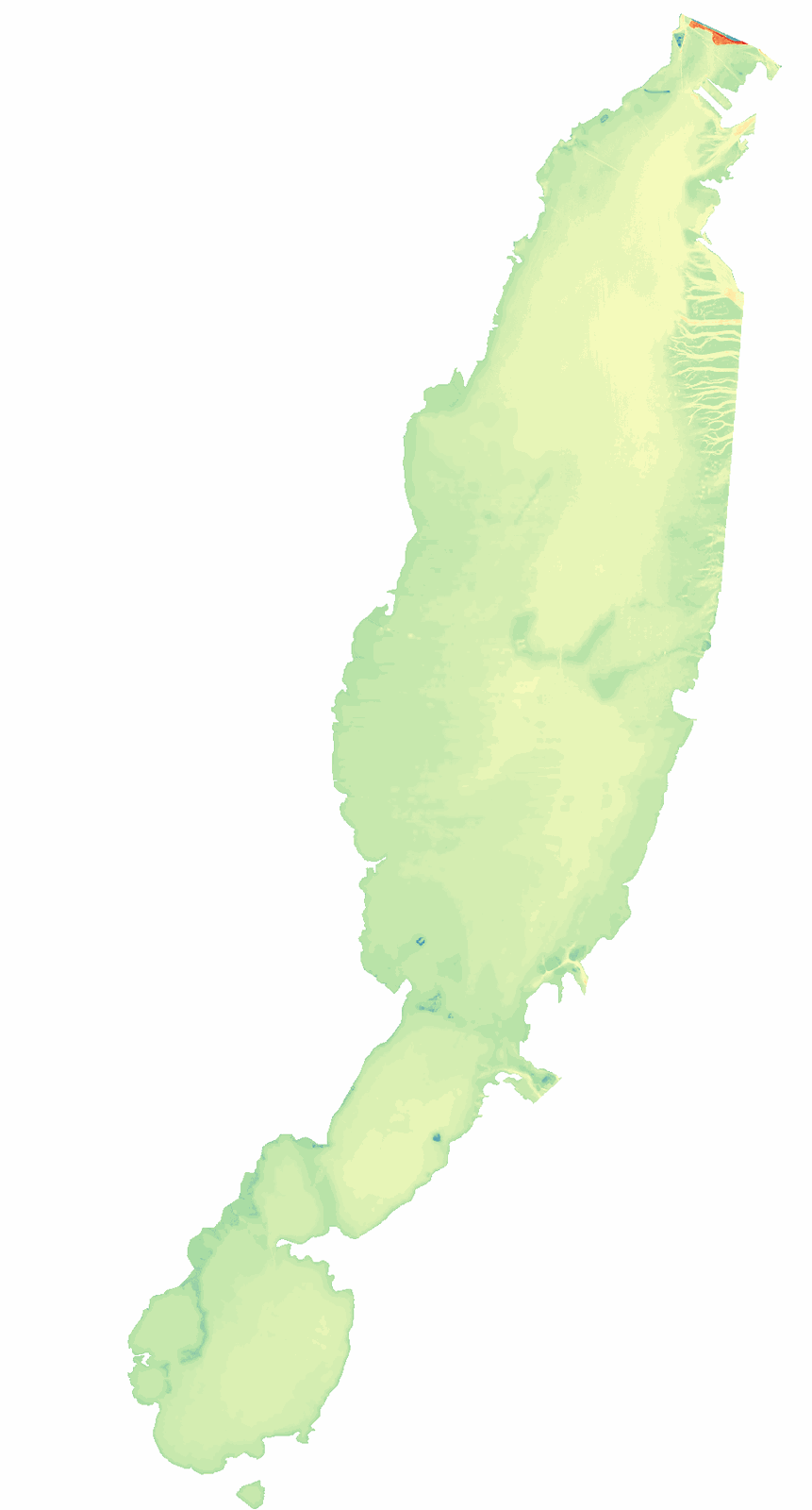 Digital elevation model in raster format created by interpolation.